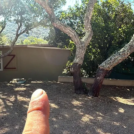 Vakantiehuis V Equipe Proche Pianottoli-Caldarello (Corsica)